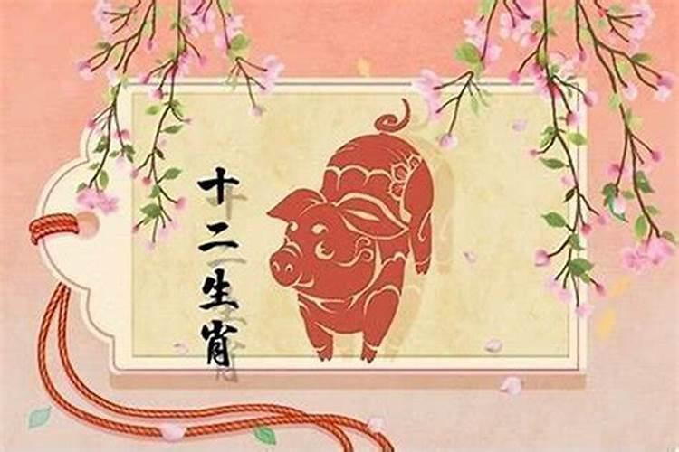 生肖属猪今年运势怎么样