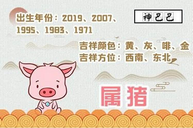 五九年出生属猪是什么命