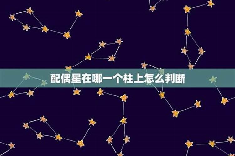 八字配偶星在哪里