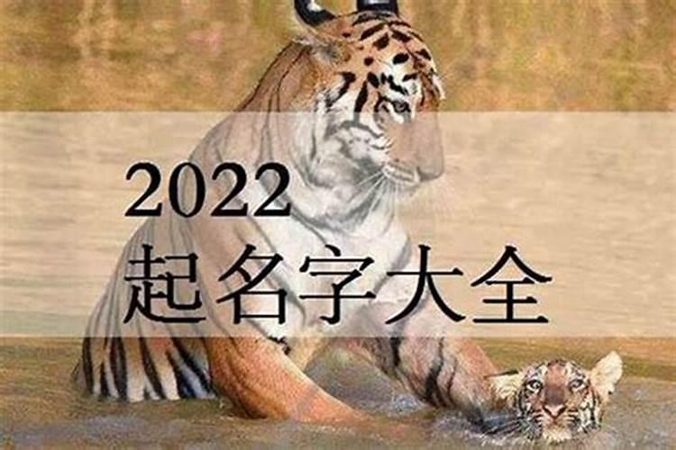 2022年属虎六月男孩