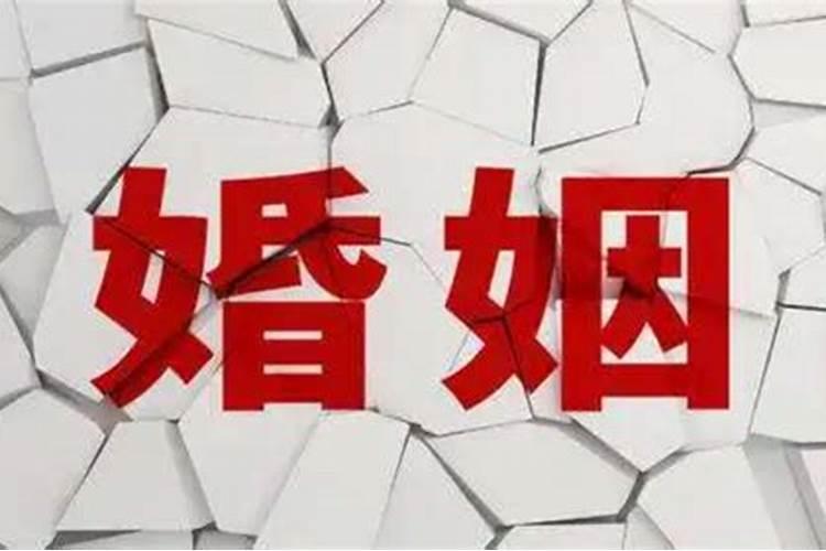 生肖鼠11月运势2020