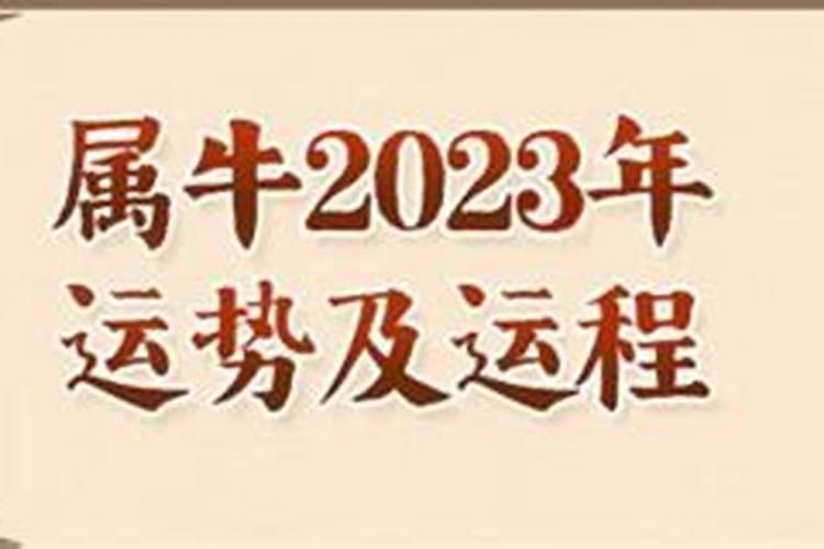 1973属牛2023年运势及运程每月运程