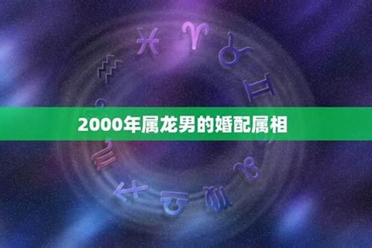 2000年属龙男什么性格