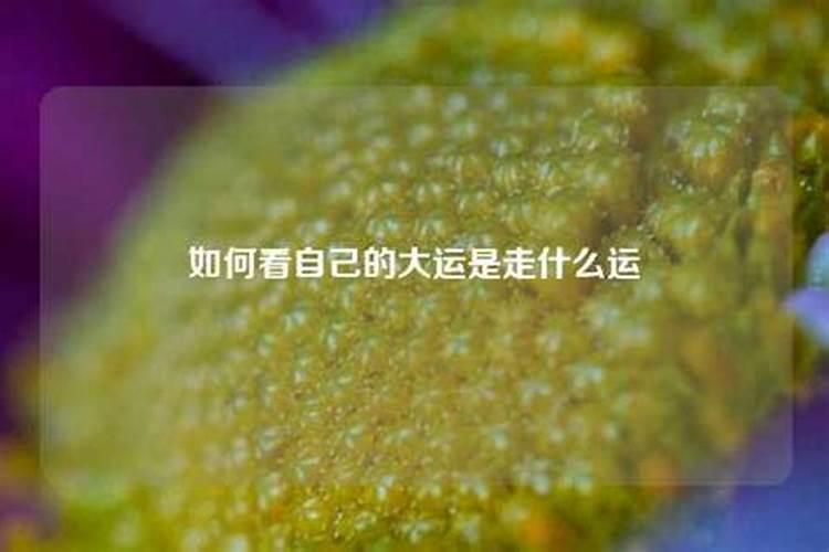 犯太岁该怎么做最好