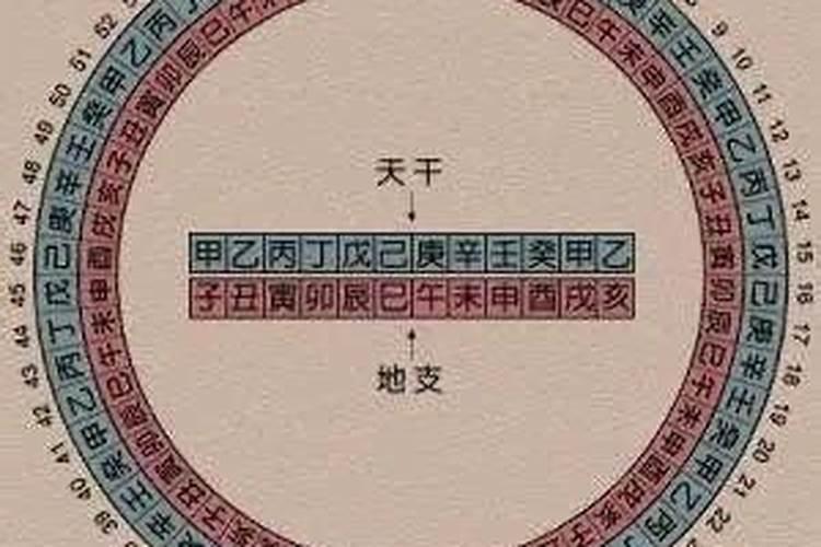 八字中两个甲