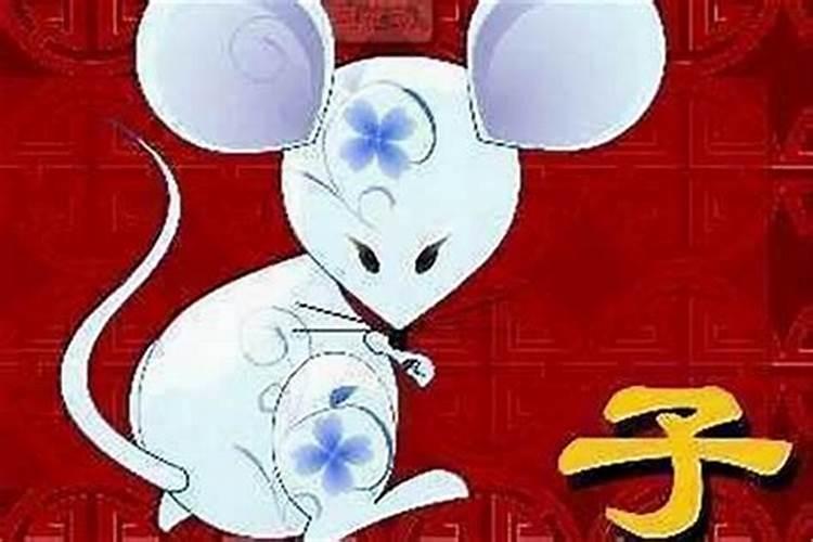 1996年十一月出生的鼠是什么命运呢