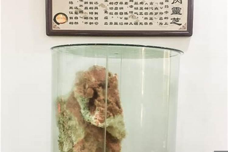 太岁水的饮用方法