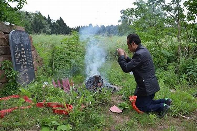 清明上坟祭祀的程序有哪些