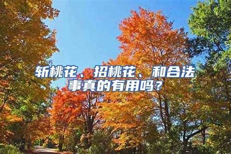 被斩桃花的男人会怎么样