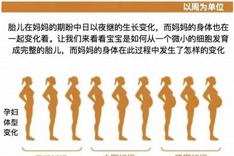 蛇和狗婚配怎么样