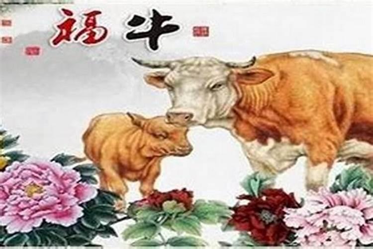 属牛的2022年搬家好不好