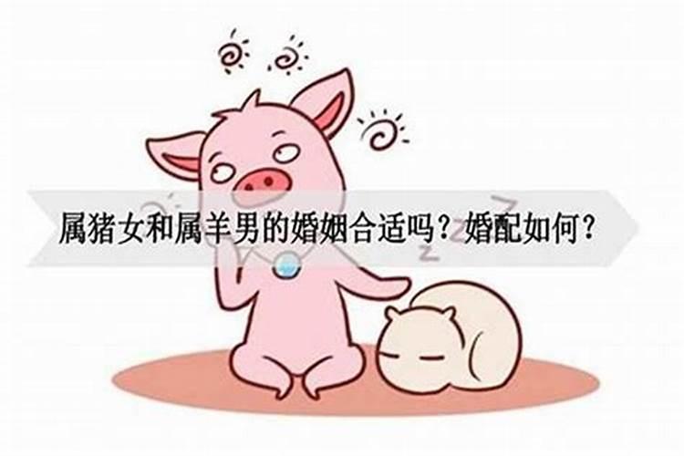 男鸡猪女的婚姻