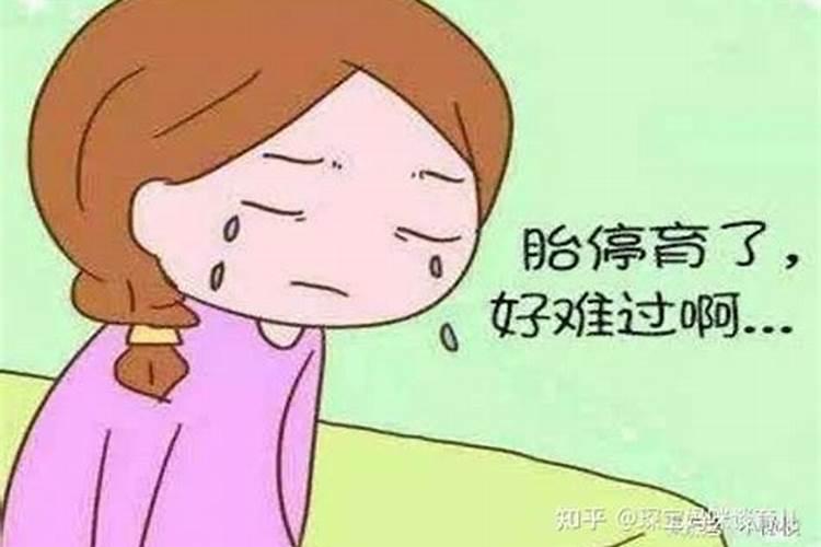 属兔今年贵人是哪几个生肖