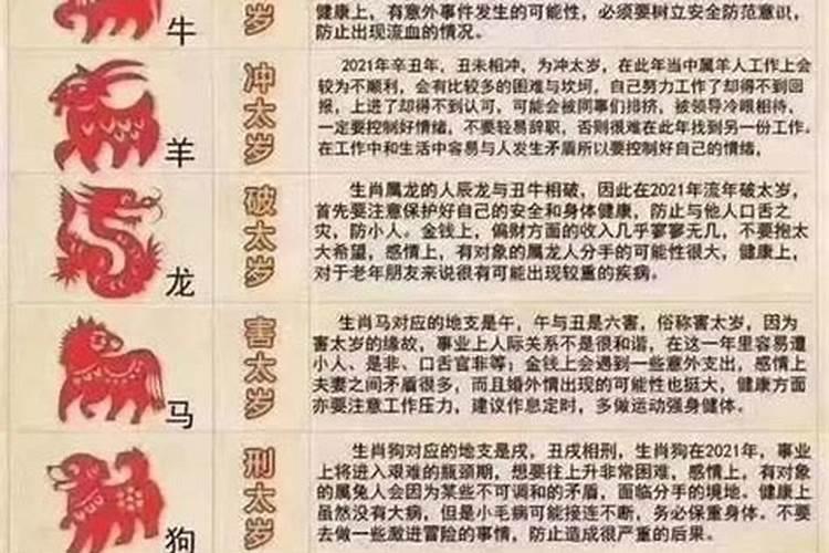 怎么样测八字合不合