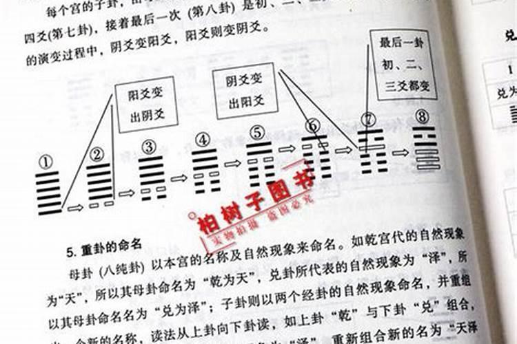 二出三合八字硬是什么意思