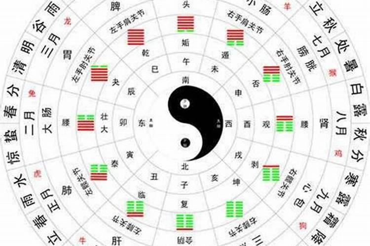 合婚天干重要还是地支重要纳音五行