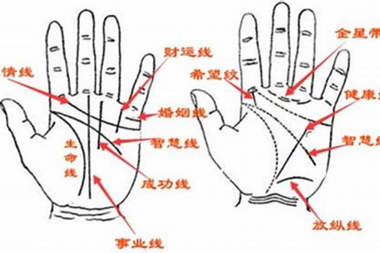 为什么看手相算命很准