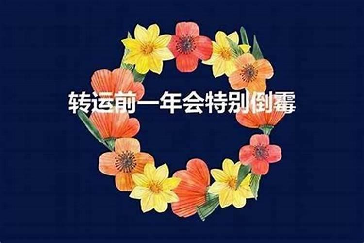 男属羊婚姻跟什么八字相配