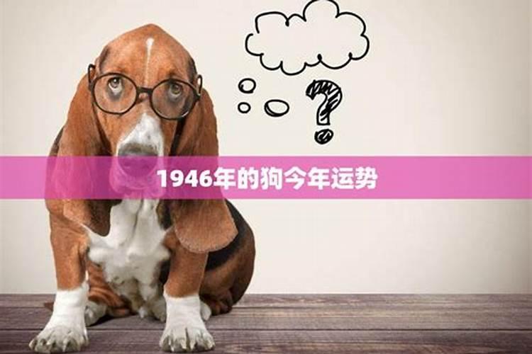 1946年2022年运势如何