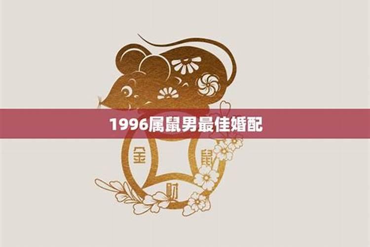 鼠今年婚姻卜1996,鼠