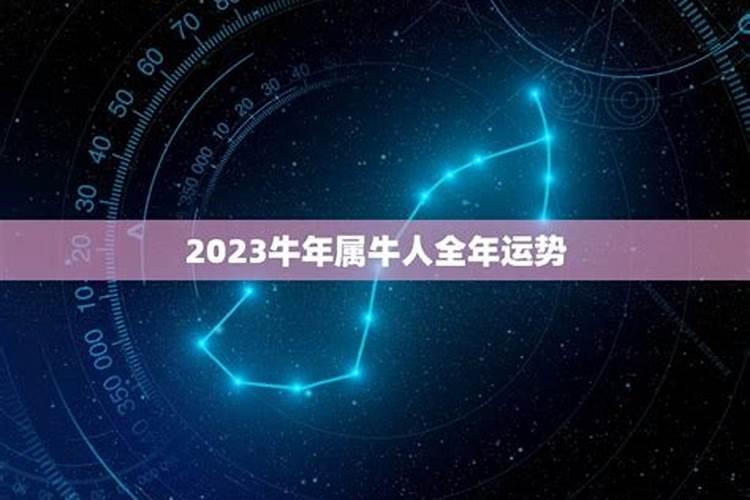 2023年牛人运势运程每月运程