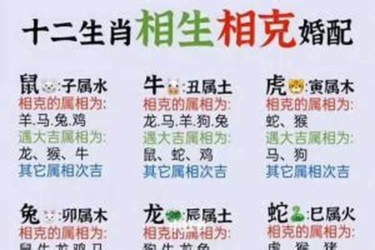 一家四口属相不合怎么办呢