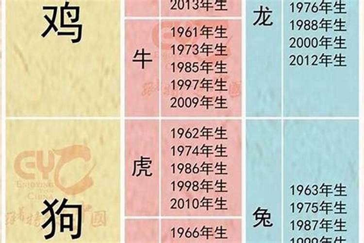 2024年冲太岁最凶的四大生肖