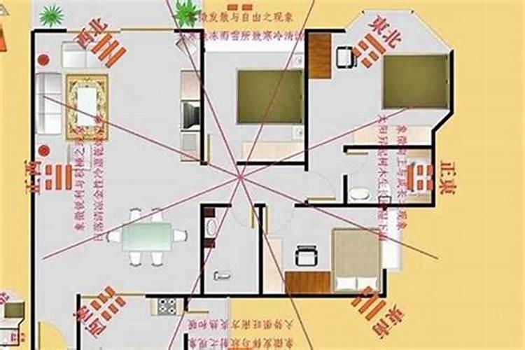 属鸡的适合住几楼吉利吗