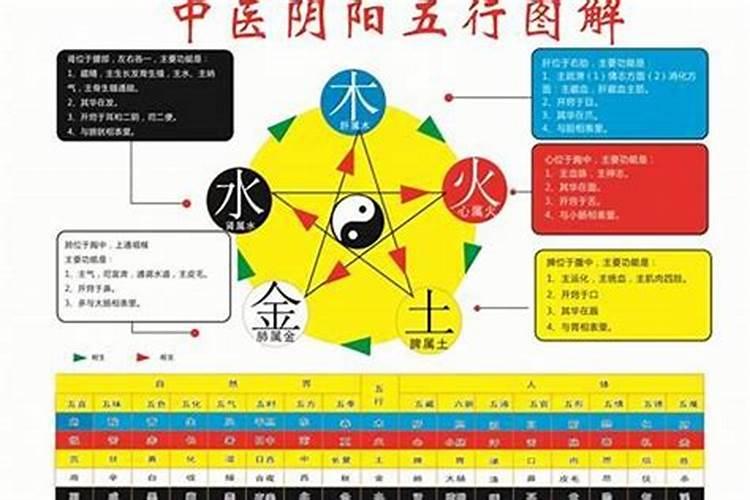 90年属性五行是什么