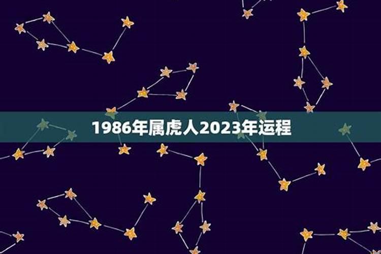 1986年属虎的人2023年运势及运程