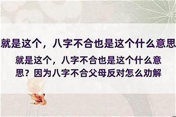 八字不合被父母反对