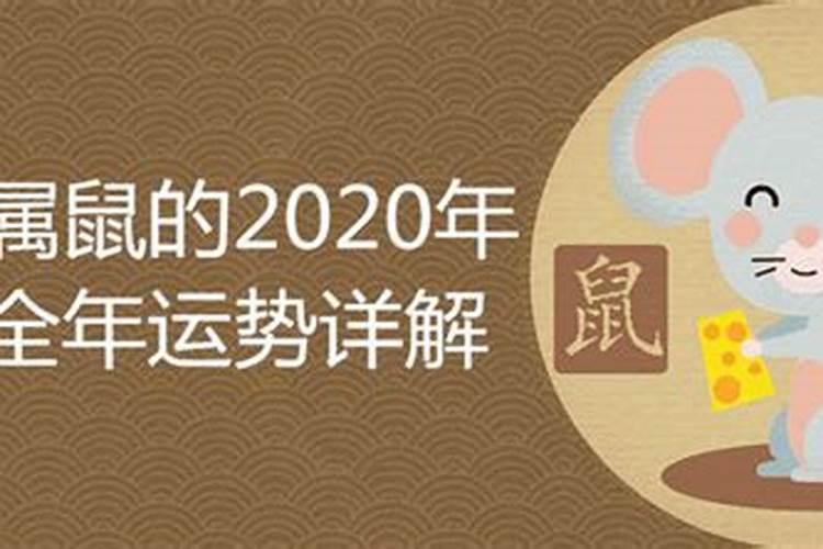 属鼠的2021年10月运势