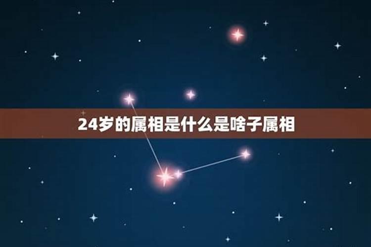 24岁的属相是属什么的