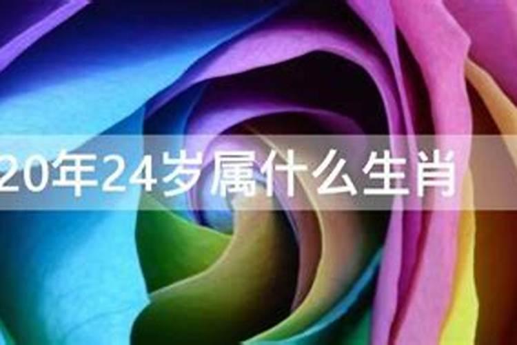 24岁是属什么属相