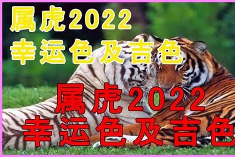 2022生肖虎幸运色