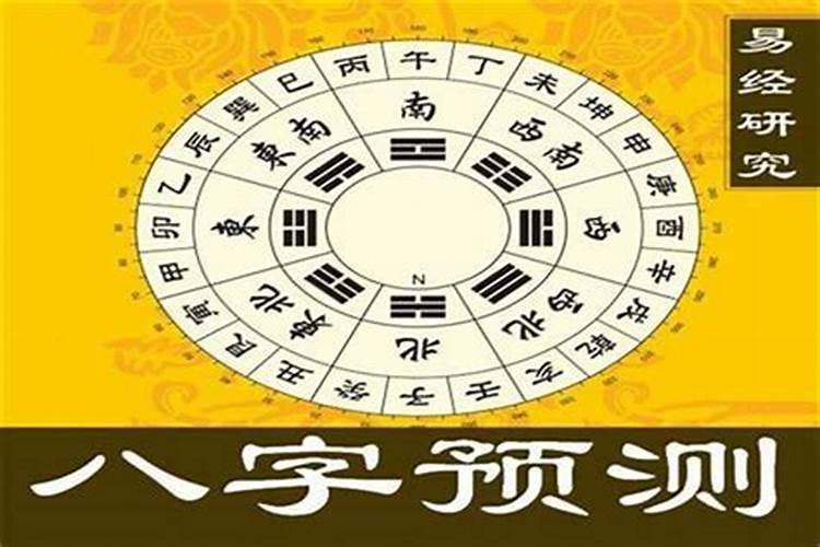 乙亥年和戊寅年八字合婚好吗