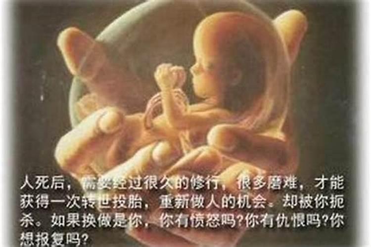 堕胎婴儿灵魂超度