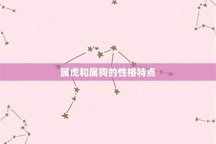 属虎和属狗适合做夫妻吗