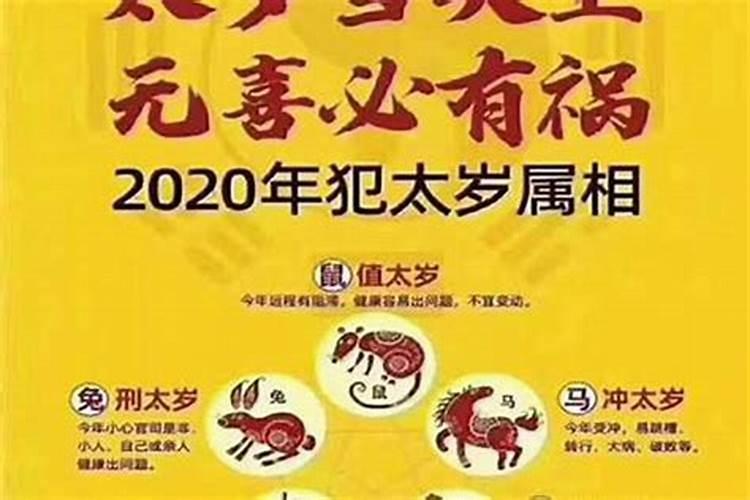 2020年什么生肖犯太岁