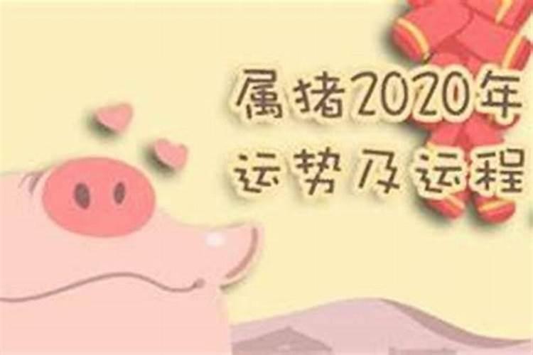 属猪人2021感情运程如何