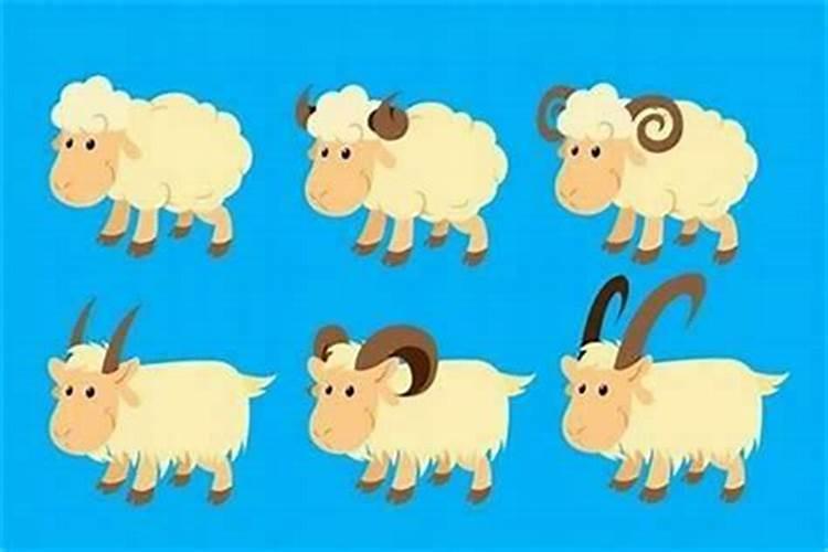 属羊人适合去哪个方向