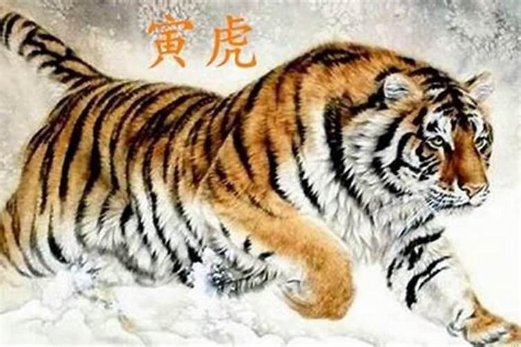 属虎的本命年是哪一年出生