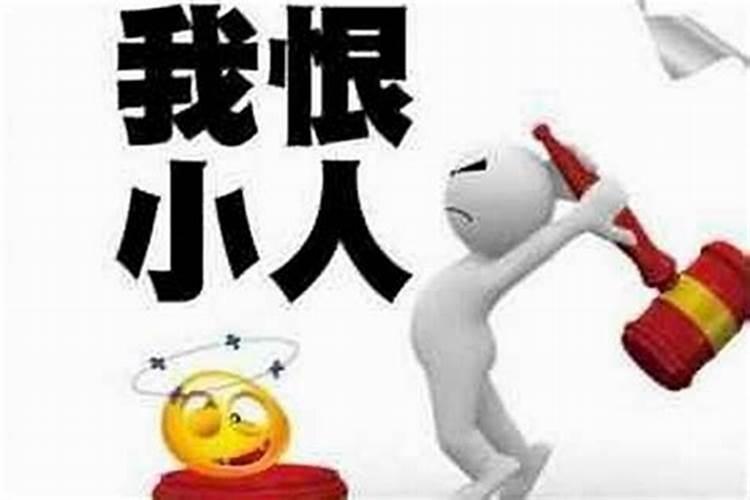 男属蛇女属羊八字合吗