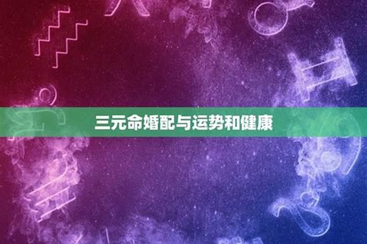 属的2020年运势及运程