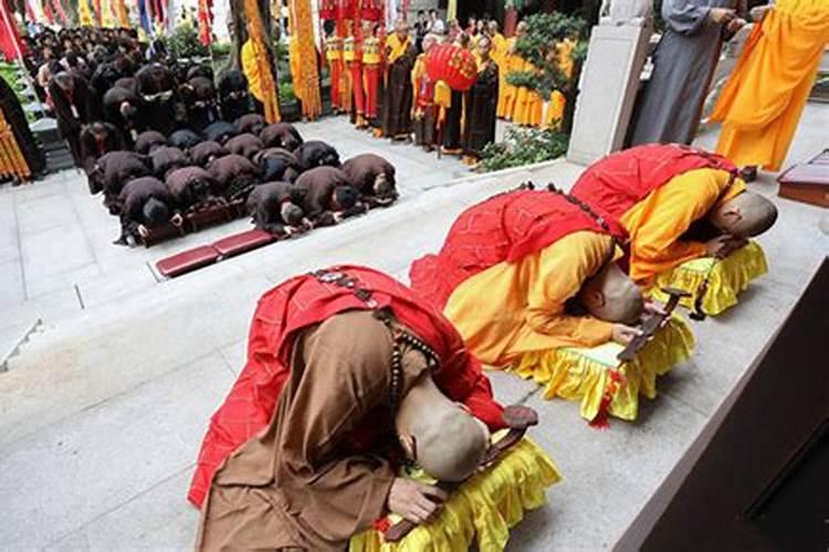 今年都有什么属相犯太岁的呢