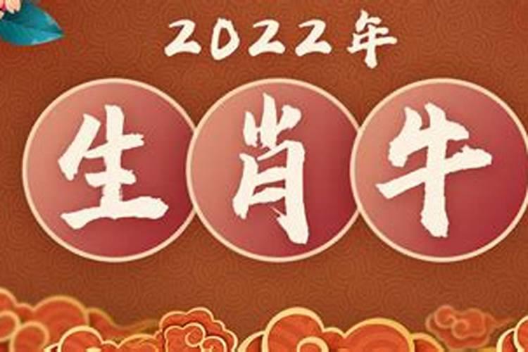 属相运程2022全年