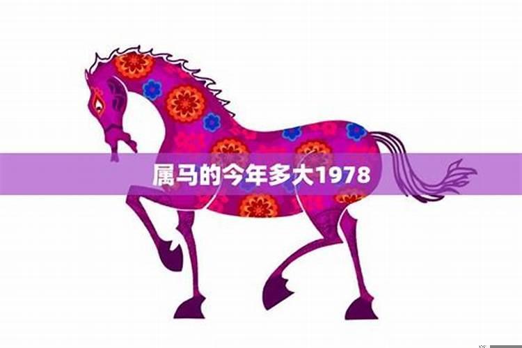 马年今年运势1978年出生