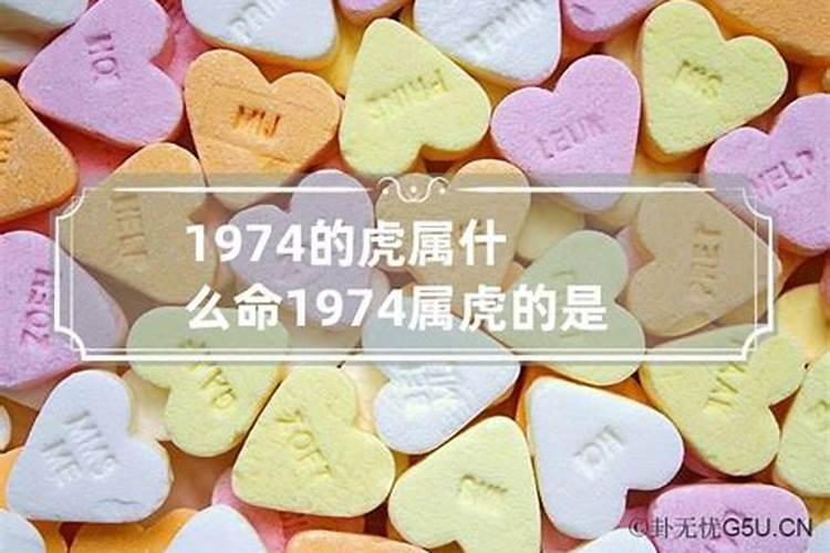 属虎的1974是什么命