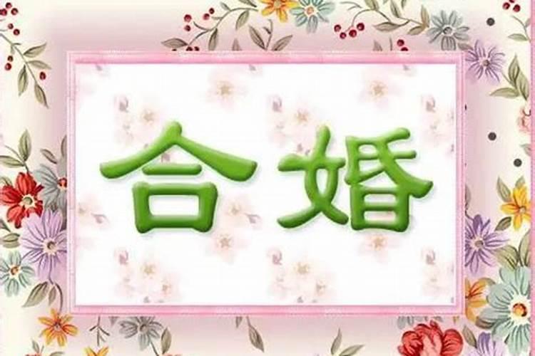 夫妻合婚怎么合