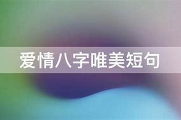 爱情人不爱丈夫的八字